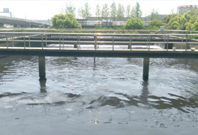 滁州市某化工園區汙水處理廠項...