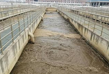 蚌埠市某汙水處理廠氧精準控製...